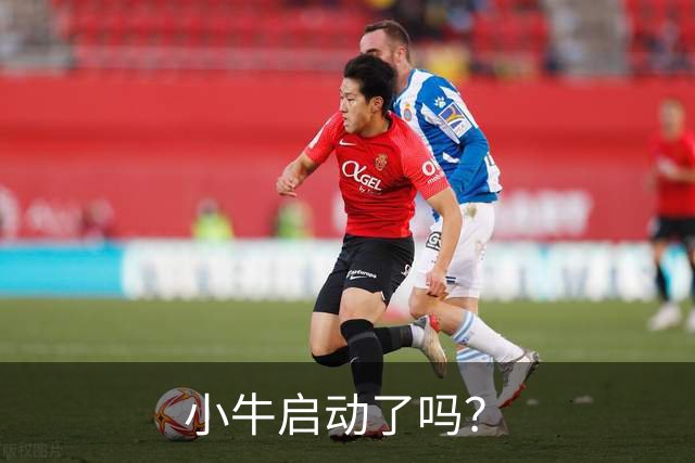 小牛启动了吗？